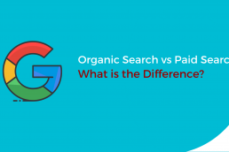 Organic Search vs Paid Search: What is the Difference?